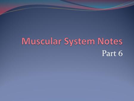 Muscular System Notes Part 6.