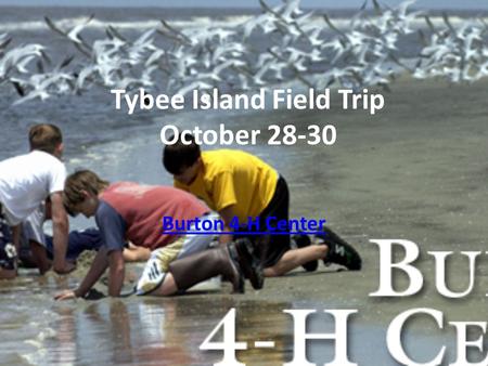 Tybee Island Field Trip October 28-30