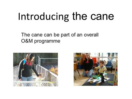 Introducing the cane The cane can be part of an overall O&M programme.