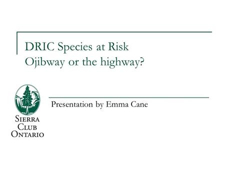 DRIC Species at Risk Ojibway or the highway? Presentation by Emma Cane.