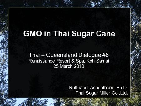 GMO in Thai Sugar Cane Thai – Queensland Dialogue #6 Renaissance Resort & Spa, Koh Samui 25 March 2010 Nutthapol Asadathorn, Ph.D. Thai Sugar Miller Co.,Ltd.