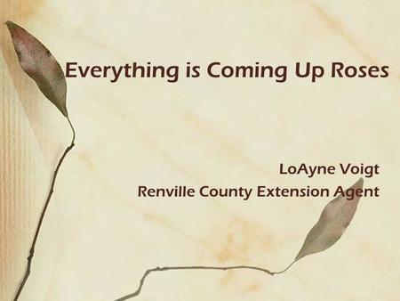 Everything is Coming Up Roses LoAyne Voigt Renville County Extension Agent.