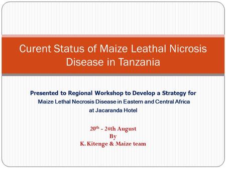 Curent Status of Maize Leathal Nicrosis Disease in Tanzania Presented to Regional Workshop to Develop a Strategy for Maize Lethal Necrosis Disease in Eastern.