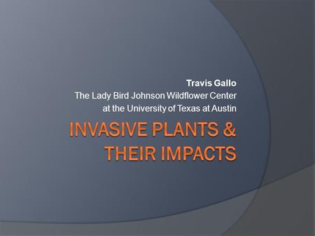 Travis Gallo The Lady Bird Johnson Wildflower Center at the University of Texas at Austin.