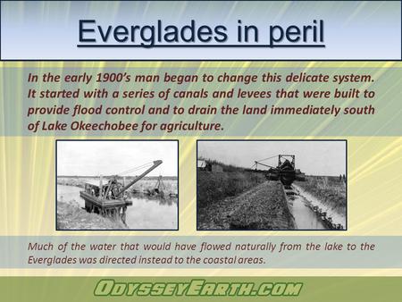 In the early 1900’s man began to change this delicate system. It started with a series of canals and levees that were built to provide flood control and.