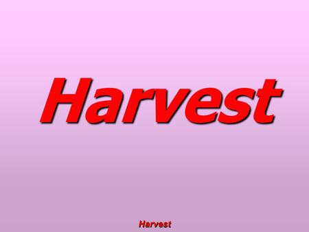 Harvest Harvest. Harvest Welcome The Lord be with you. And also with you.