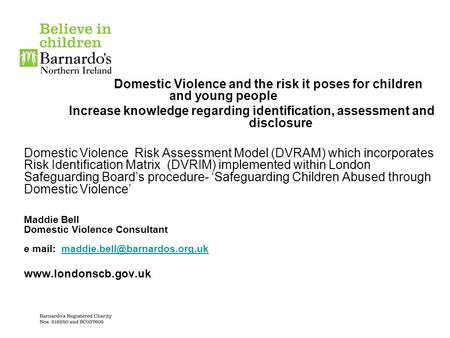 Domestic Violence and the risk it poses for children and young people