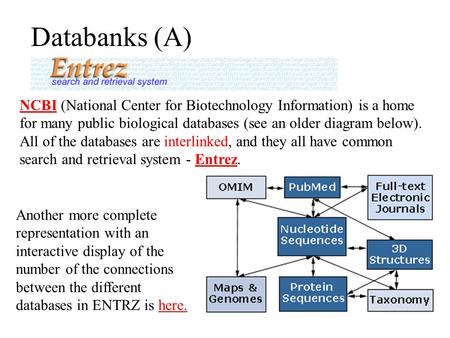 Databanks (A) NCBINCBI (National Center for Biotechnology Information) is a home for many public biological databases (see an older diagram below). All.