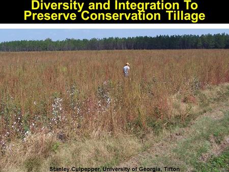 Diversity and Integration To Preserve Conservation Tillage Stanley Culpepper, University of Georgia, Tifton.