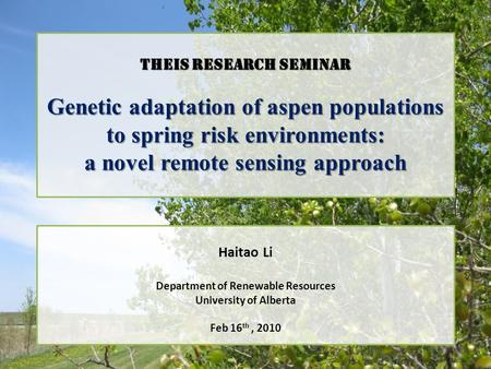 THEIS RESEARCH SEMINAR Genetic adaptation of aspen populations to spring risk environments: a novel remote sensing approach Haitao Li Department of Renewable.