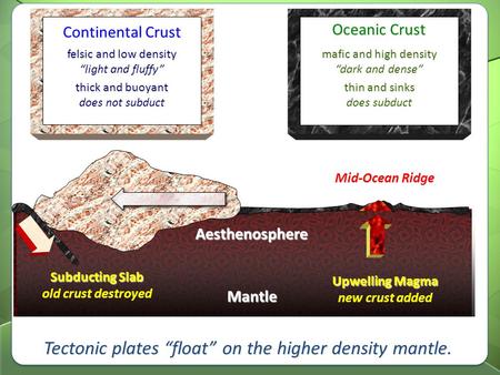 Upwelling Magma new crust added felsic and low density “light and fluffy” mafic and high density “dark and dense” Mid-Ocean Ridge Continental Crust Oceanic.