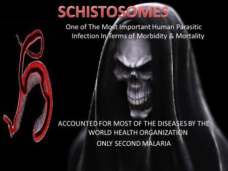 One of The Most Important Human Parasitic Infection In Terms of Morbidity & Mortality ACCOUNTED FOR MOST OF THE DISEASES BY THE WORLD HEALTH ORGANIZATION.
