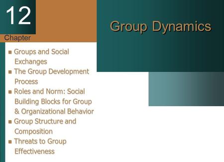Chapter 12 Group Dynamics Groups and Social Groups and Social Exchanges Exchanges The Group Development The Group Development Process Process Roles and.