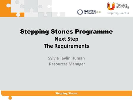 Stepping StonesStepping Stones Programme Stepping Stones Stepping Stones Programme Next Step The Requirements Sylvia Tevlin Human Resources Manager.