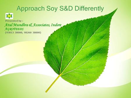 Approach Soy S&D Differently Presented by : Atul Mundhra & Associates, Indore A GRO F EEDS (93013 38000, 98260 38000)