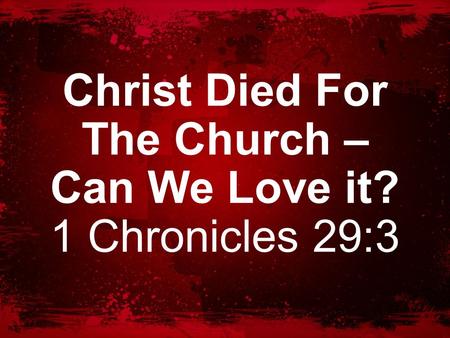 Christ Died For The Church – Can We Love it? 1 Chronicles 29:3.