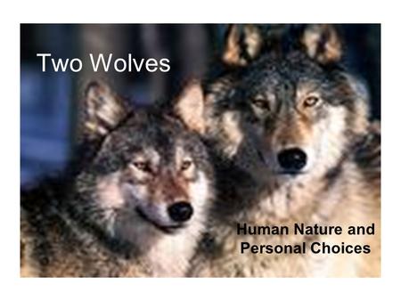 Two Wolves Human Nature and Personal Choices. Objective: Students will respond to questions regarding the duality of human nature and the choices we make.