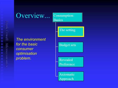 Overview... Consumption: Basics The setting