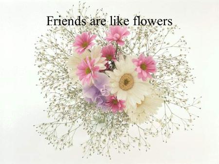 Friends are like flowers They add color to your life.