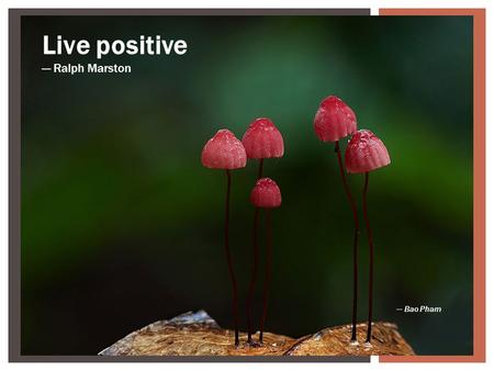 Live positive — Ralph Marston — Bao Pham Holding a grudge can get heavy and tiresome. Lighten your load by letting it go.