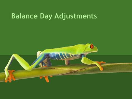 Balance Day Adjustments. What is a Balance Day The Last day of Accounting Year Example: 31 March 20XX.