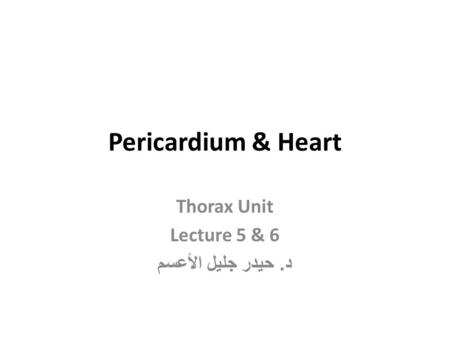 Thorax Unit Lecture 5 & 6 د. حيدر جليل الأعسم