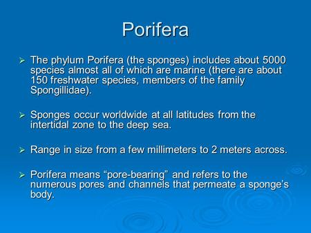 Porifera The phylum Porifera (the sponges) includes about 5000 species almost all of which are marine (there are about 150 freshwater species, members.