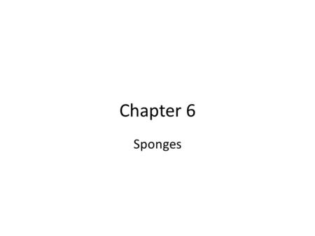 Chapter 6 Sponges.