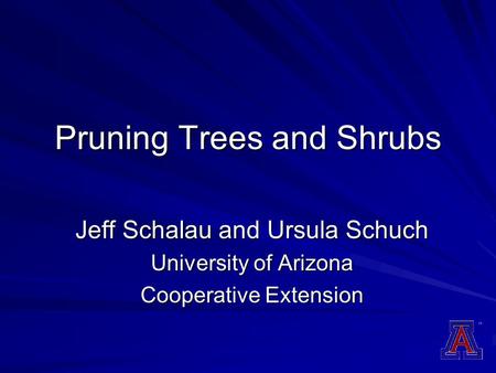 Pruning Trees and Shrubs Jeff Schalau and Ursula Schuch University of Arizona Cooperative Extension.