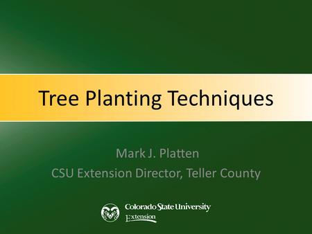 Tree Planting Techniques Mark J. Platten CSU Extension Director, Teller County.