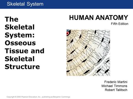 HUMAN ANATOMY Fifth Edition Chapter 1 Lecture Copyright © 2005 Pearson Education, Inc., publishing as Benjamin Cummings Skeletal System Frederic Martini.