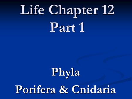 Life Chapter 12 Part 1 Phyla Porifera & Cnidaria.