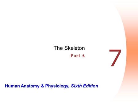 The Skeleton Part A 7.