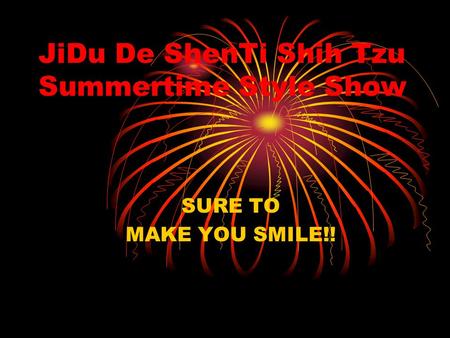JiDu De ShenTi Shih Tzu Summertime Style Show SURE TO MAKE YOU SMILE!!