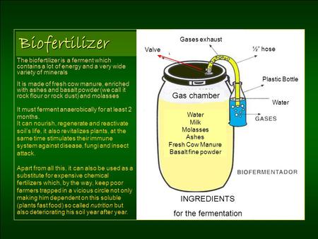 Biofertilizer The biofertilizer is a ferment which contains a lot of energy and a very wide variety of minerals It is made of fresh cow manure, enriched.