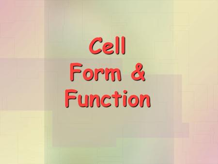 Cell Form & Function. Cells have different shapes to do different jobs. A cell’s form (shape) is adapted to its function. What does this mean???? It means: