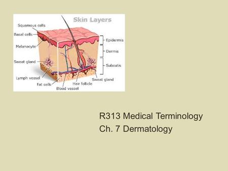 R313 Medical Terminology Ch. 7 Dermatology.