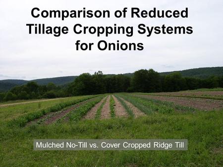 Comparison of Reduced Tillage Cropping Systems for Onions Mulched No-Till vs. Cover Cropped Ridge Till.