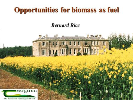 Opportunities for biomass as fuel Bernard Rice. Why biofuels now? Increasing mineral fuel prices Need for new farm enterprises Need for secure fuel supply.