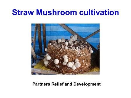Straw Mushroom cultivation Partners Relief and Development.
