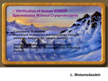 Hepatitis C( None A,None B) L. Motamedzadeh Vitrification of Human ICSI/IVF Spermatozoa Without Cryoprotectants V. Isachenko, R. Maettner Department of.