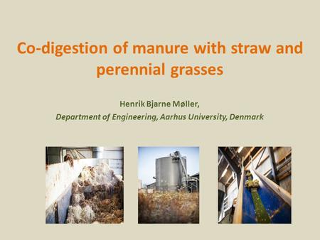 Co-digestion of manure with straw and perennial grasses Henrik Bjarne Møller, Department of Engineering, Aarhus University, Denmark.