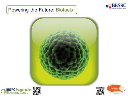 Powering the Future: Biofuels. Activity: Plant material testing Describe the main constituents of plant cells Carry out staining for lignin and cellulose.