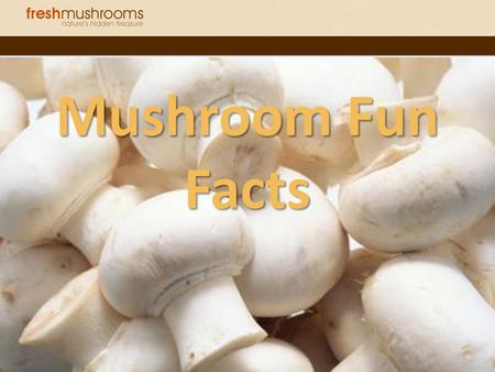 Mushroom Fun Facts.