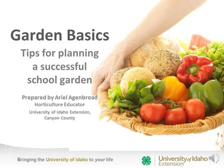 Bringing the University of Idaho to your life Garden Basics Tips for planning a successful school garden Prepared by Ariel Agenbroad Horticulture Educator.