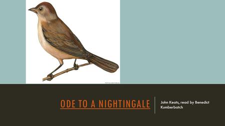 The use of descript terminology in ode to nightingale by john keats