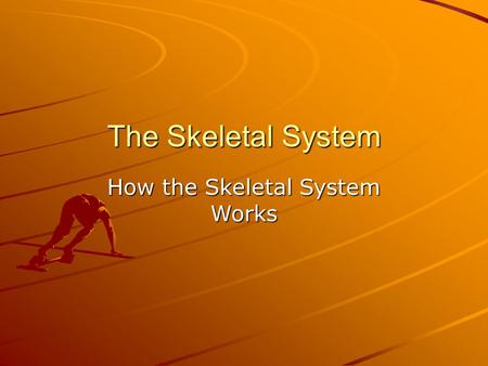 The Skeletal System How the Skeletal System Works.