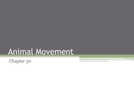 Animal Movement Chapter 30.