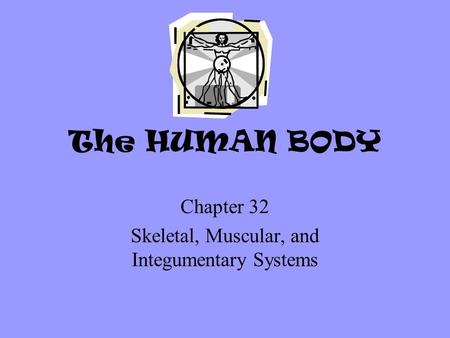Chapter 32 Skeletal, Muscular, and Integumentary Systems