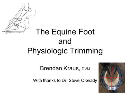 The Equine Foot and Physiologic Trimming Brendan Kraus, DVM With thanks to Dr. Steve O’Grady.